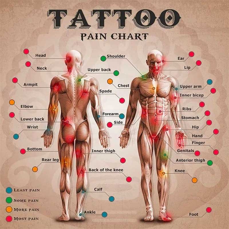 Tattoo-Pain-Chart around the human body